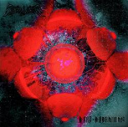 Slow Worm : Dire Dioramas